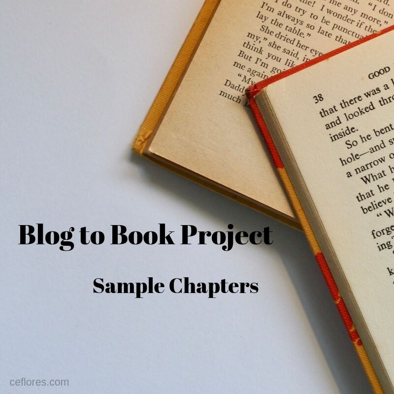 Blog to Book Project — Sample Chapters – C.E. Flores